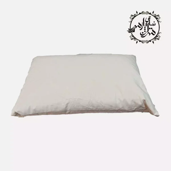 On the pillow.