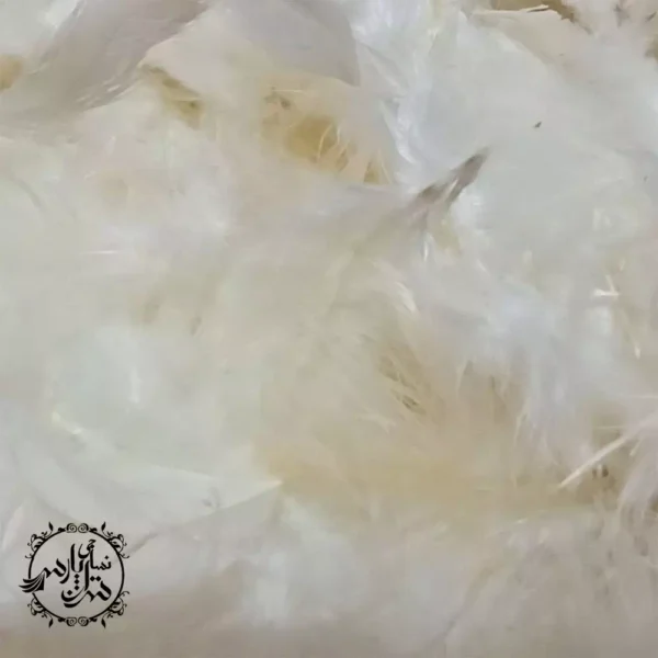 On the pillow1